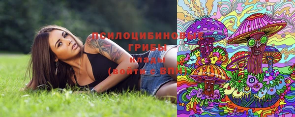 a pvp Арсеньев