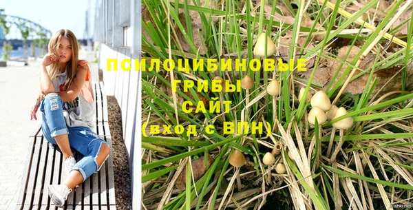 a pvp Арсеньев