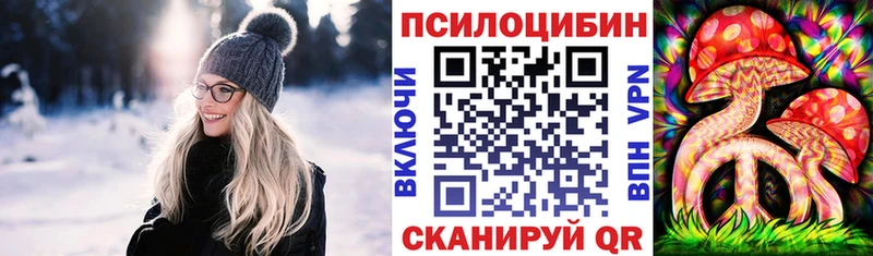 даркнет сайт  Инсар  Галлюциногенные грибы Psilocybe 